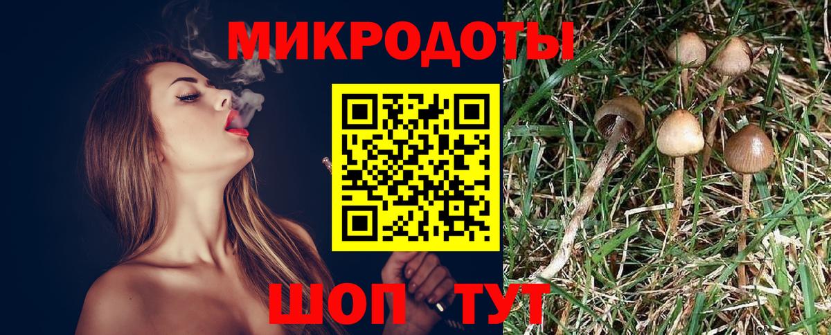 Галлюциногенные грибы MAGIC MUSHROOMS  Вход с VPN  Новоалтайск 